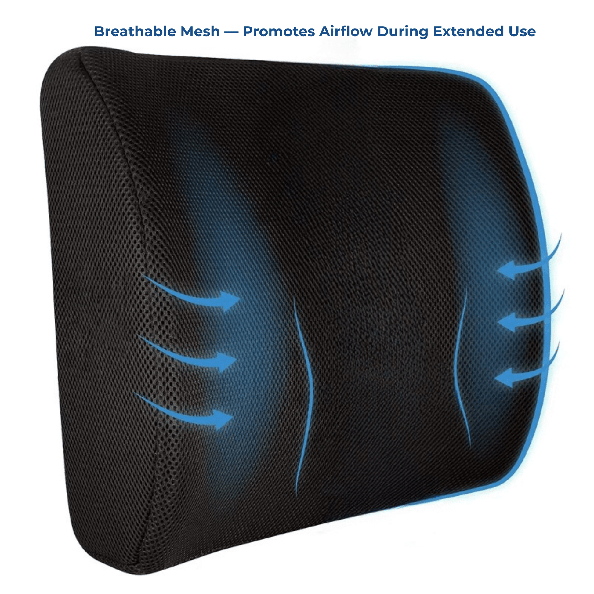 Memory Foam Lumbar Support Cushion — breathable mesh